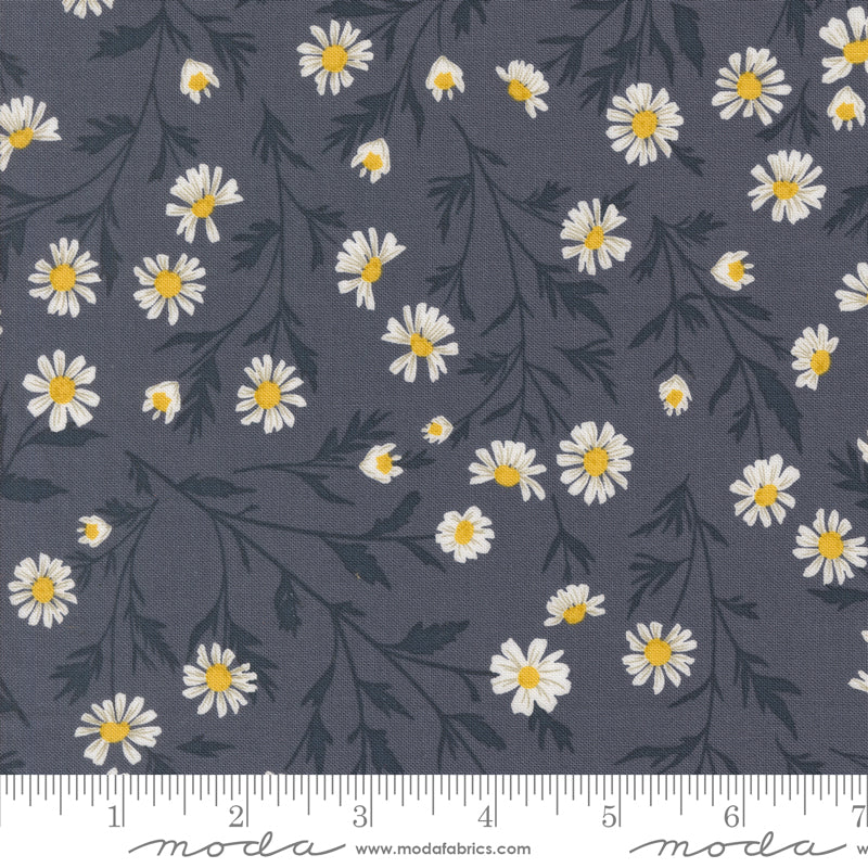 Sun-Drenched Wild Daisy Indigo Fat Quarter (Moda)