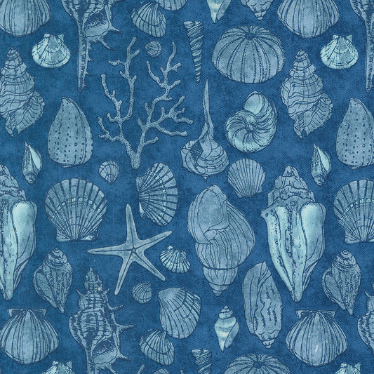 Serena Shores (Moda) - Sketchy Shells Coastal