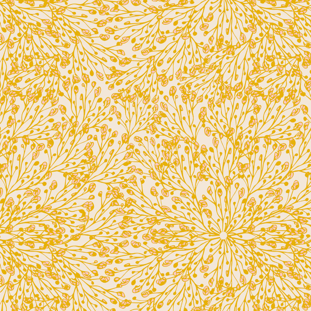 Organic (Phoebe Fabrics) - 1/4 Meter Bundle