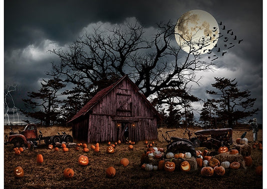 Haunted Halloween (Hoffman) - Pumpkin Panel