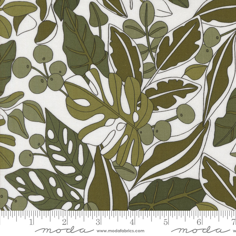 Botany (Moda) - Greenery Paper