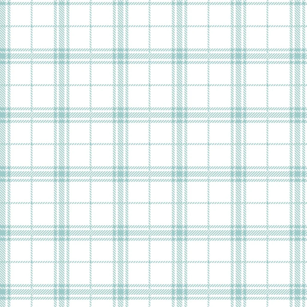 Light blue plaid print on white fabric.