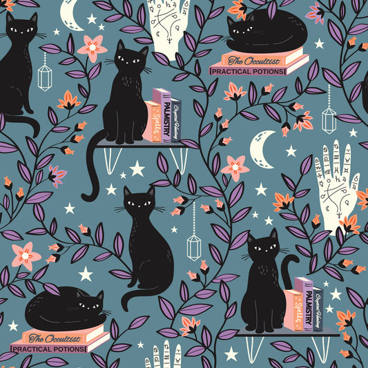 Spellbound (Dashwood Studio) - Black Cats